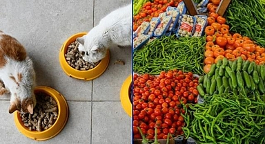 Kasımda fiyatı en çok artan evcil hayvan ürünleri, en fazla düşen ise sebze oldu