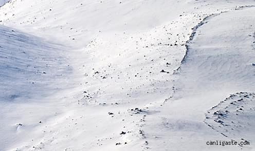 Kayseri'de mahsur kalan kampçılar kurtarıldı
