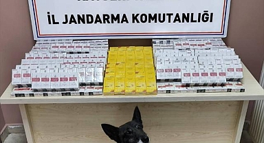 Kayseri'de yol kontrolünde 630 paket kaçak sigara ele geçirildi