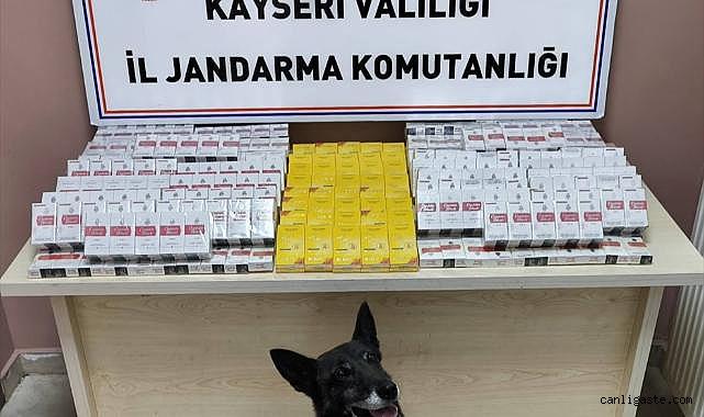 Kayseri'de yol kontrolünde 630 paket kaçak sigara ele geçirildi