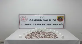 Samsun'da uyuşturucu operasyonunda yakalanan zanlı tutuklandı