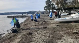 Sinop sahilinde görülen kirlilikle ilgili inceleme başlatıldı