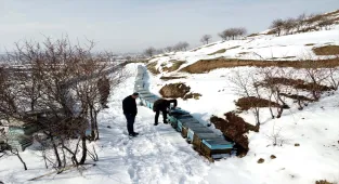 6 ŞUBAT DEPREMLERİNİN ÜÇÜNCÜ YILI - Depremden etkilenen Elazığ'da arıcı ve besiciler yaralarını devlet desteğiyle sardı 