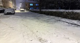 Ardahan ve Kars'ta kar yağışı etkili oldu