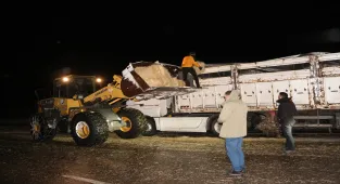 Bingöl'de tipide mahsur kalan büyükbaş hayvanlara saman desteği