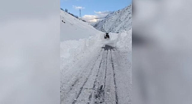 Çığ düşmesiyle kapanan Hakkari-Van yolu açıldı