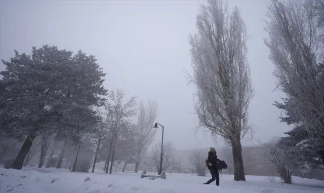 Doğu Anadolu'da 5 ilde soğuk hava ve sis etkili oluyor