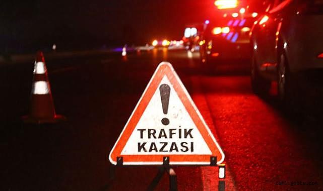 Domuz sürüsüne çarpan otomobildeki 3 kişi yaralandı!