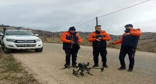 Manisa'da kayıp kadını arama çalışmaları sürüyor