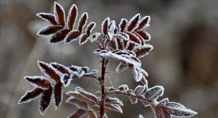Ardahan'da buzlanma nedeniyle yolda kalan 16 tır kurtarıldı