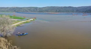 Aydın'da taşkın sonucu su altında kalan tarım arazilerinde balık avlanıyor