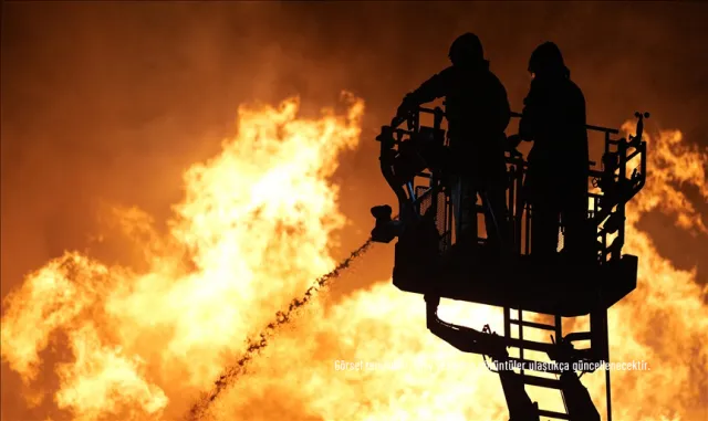 Bodrum'da ağaçlık alan yakınında çıkan yangın söndürüldü