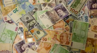 Bu hafta yatırım araçlarının performansı / 13 Şubat 2026