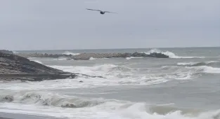 Düzce'de kuvvetli rüzgar nedeniyle dalga boyu 3 metreye ulaştı