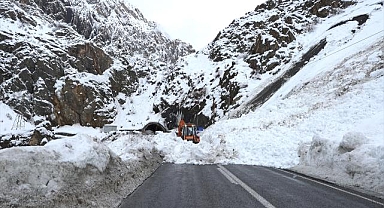 Hakkari-Van kara yolunda farklı noktalara düşen çığ temizlendi