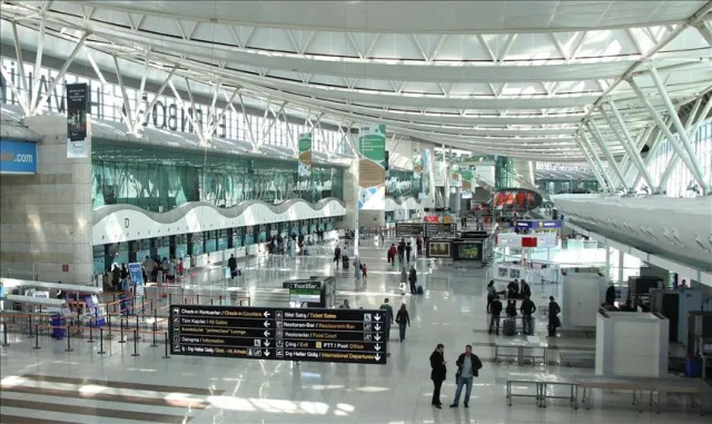 İstanbul Havalimanı'nda bavul içinde ülkeye sokulmak istenen 20 Afrika gri papağanı ele geçirildi