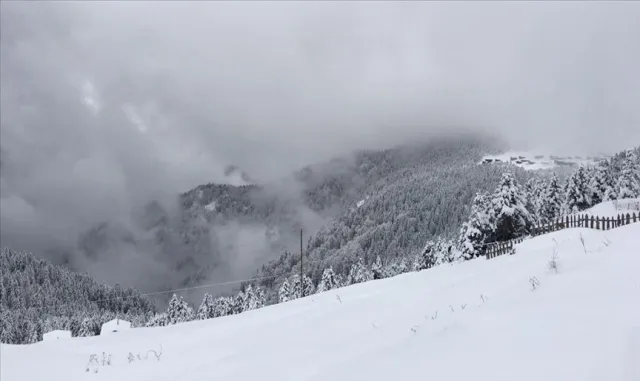 İsviçre'nin Valais kantonunda 3 köy çığ tehlikesi nedeniyle tahliye edildi