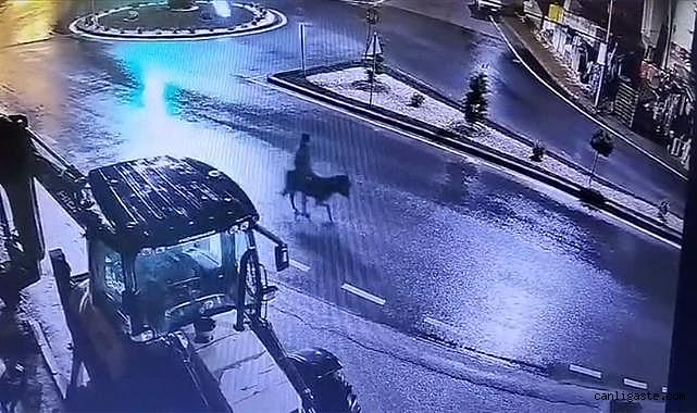 Kayseri'de altın çalıp eşekle kaçan zanlı takıları nasıl sakladığını anlattı