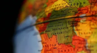 Kongo Demokratik Cumhuriyeti'nin Virunga Ulusal Parkı’nda bir yavru goril dünyaya geldi