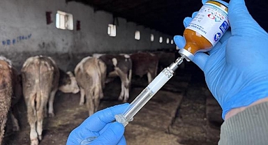 Malatya'da hayvanlara 1,5 milyon doz aşı yapılacak