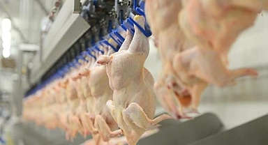 Ticaret Bakanlığı tavuk ihracatını durduracak