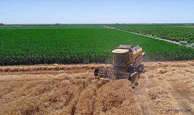 Tohum Dağıtıcıları Alt Birliği Bölgesel İstişare ve Eğitim Toplantısı Samsun'da yapıldı