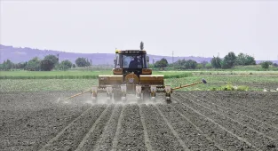 Çiftçilere 8,7 milyar lira tarımsal destekleme ödemesi bugün yapılacak