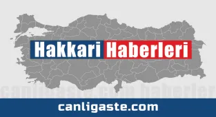 Çığ düşen Van-Hakkari kara yolu tek şeritten ulaşıma açıldı
