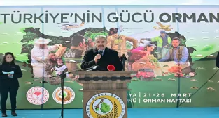 Eskişehir'de Orman Haftası kapsamında 20 bin fidan dikildi