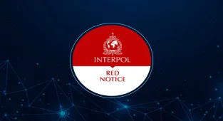 Kırmızı bültenle aranan 13, ulusal seviyede aranan 3 kişi Gürcistan'da yakalandı