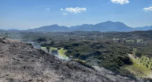 Muğla'da makilik alanda çıkan yangın söndürüldü