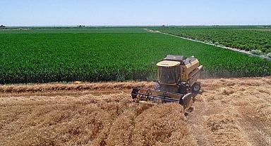 Tarımsal destekleme ödemeleri bugün yapılacak