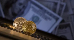 Bitcoin küresel risk iştahıyla 74 bin doların üzerine çıktı