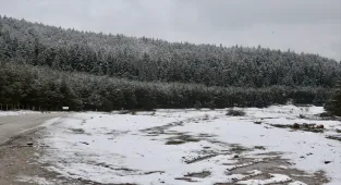 Bolu ve Karabük'ün yüksek kesimlerine ilkbaharın ortasında kar yağdı