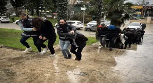 GÜNCELLEME - Samsun merkezli 13 ilde change araç operasyonunda yakalanan 9 zanlı tutuklandı