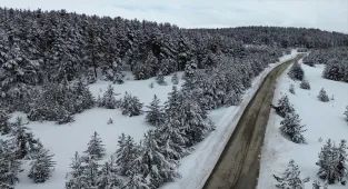 Karla kaplı Sarıkamış ormanları dronla görüntülendi