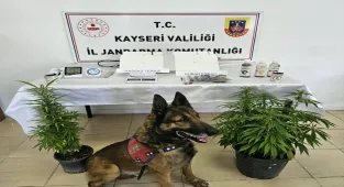 Kayseri'de uyuşturucu operasyonunda 1 zanlı yakalandı