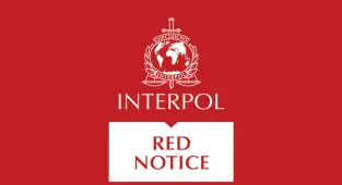 Kırmızı bültenle aranan 16, ulusal seviyede aranan 45 suçlu ülkeye getirildi