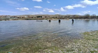 Kırşehir'de 7 gündür kayıp kişiyi arama çalışmaları sürüyor 