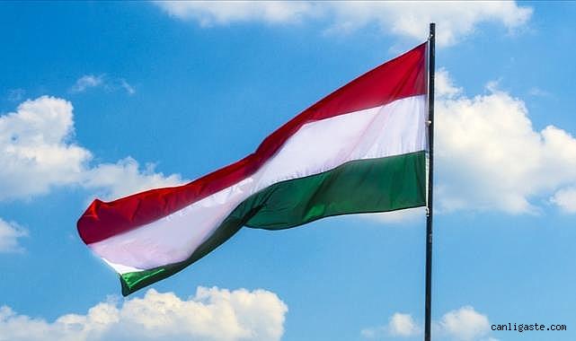 Macaristan'da genel seçimi Magyar büyük farkla önde götürüyor