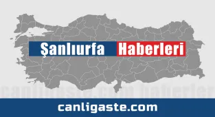 Şanlıurfa'da tır ile çarpışan hafif ticari araçtaki 2 kişi öldü