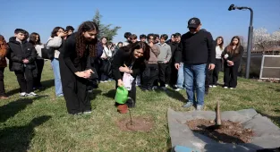 Yürüyen Köşk'ün simgesi çınardan klonlama yöntemiyle elde edilen fide, Anıtkabir'de toprakla buluştu