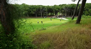 Gençlik ve Spor Bakanı Bak, Antalya'daki Turkish Airlines Open 2026'da konuştu: