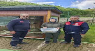 Ordu'da bir evde bulunan piton Giresun'da koruma altına alındı