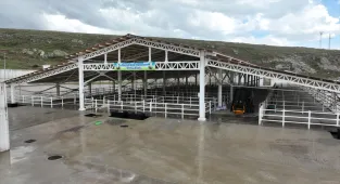 Sivas'ta kurban pazarı 12 Mayıs'ta açılacak 