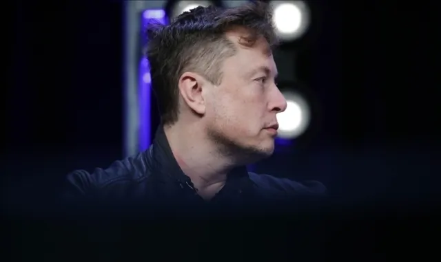 Avustralya'nın en zengin kadınından Musk'a ada verilmesi önerisi
