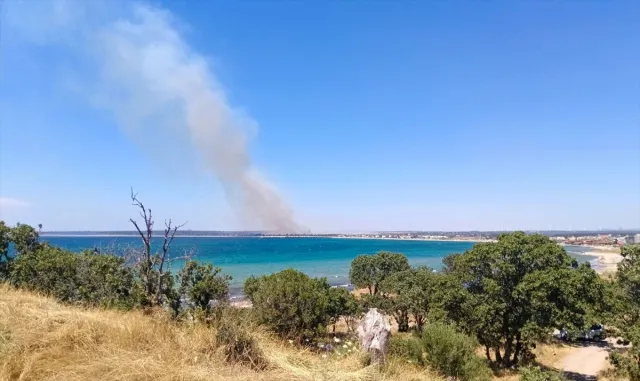 Antalya'da çıkan orman yangını kontrol altına alındı (GÜNCELLEME)
