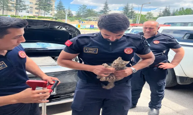 Eskişehir'de aracın motor kısmına sıkışan kedi yavrusu kurtarıldı
