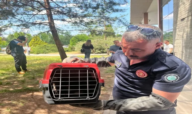 Arnavutköy'de evinde mahsur kalan diyaliz hastası itfaiye ekiplerince kurtarıldı