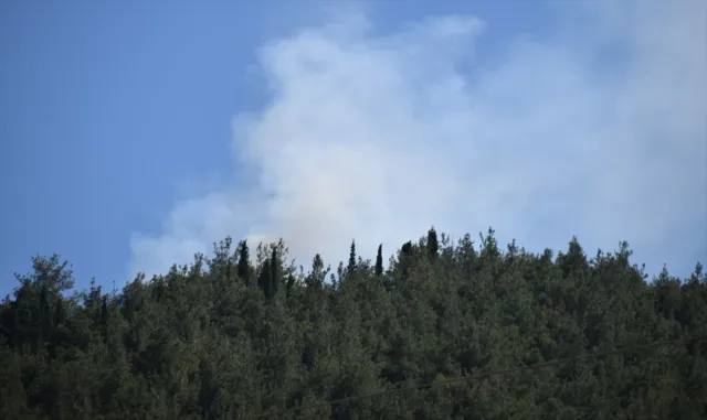 GÜNCELLEME - Manisa'da çıkan orman yangını kontrol altına alındı
